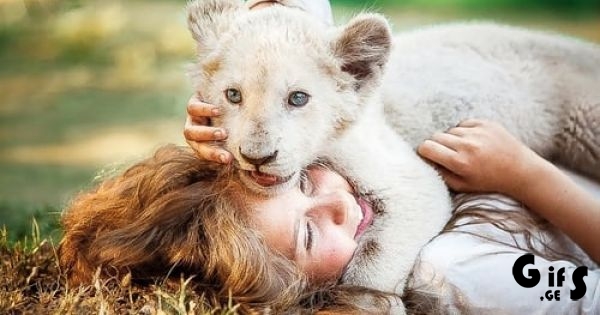 Mia and the White Lion / მია და თეთრი ლომი / mia da tetri lomi