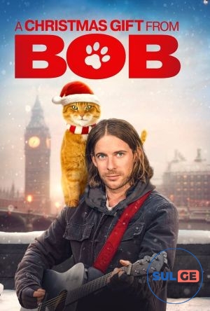 ფილმის „ქუჩის კატა სახელად ბობი“-ს სი